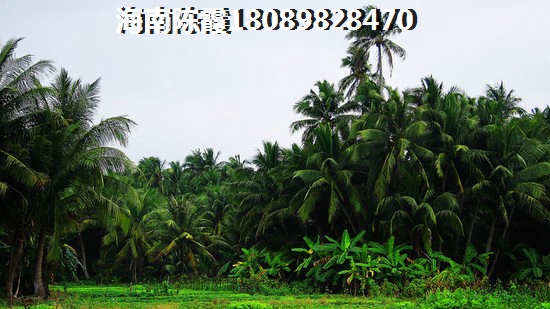 琼海商业步行街