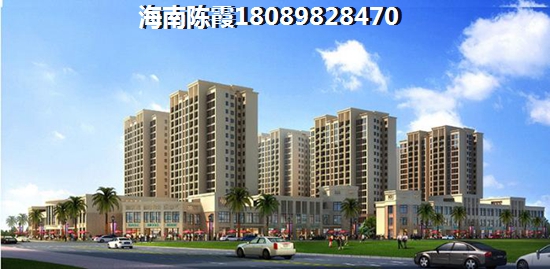 >2020琼海买房解读