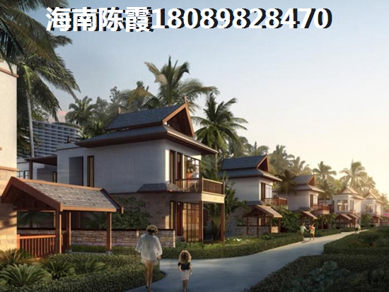 椰香海韵怎么样