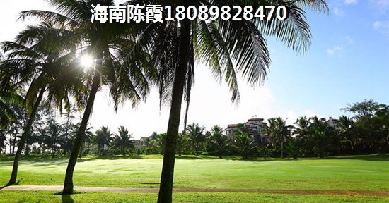 外地人还能在金海九号买房吗