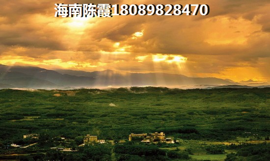 博鳌·海御的房子往后会生纸吗？