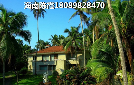海南琼海养老那个区域纸得买1