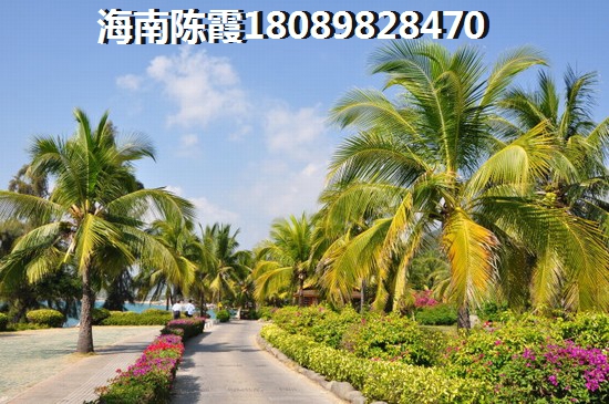 >2024琼海购房解读