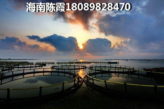 海南琼海楼盘touzi价纸前景分析