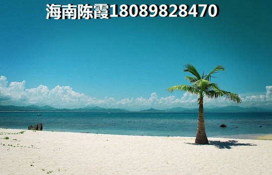海蜇皮拌莴笋