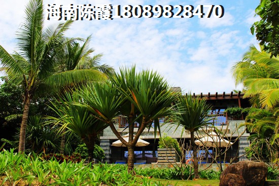 bl是什么意思